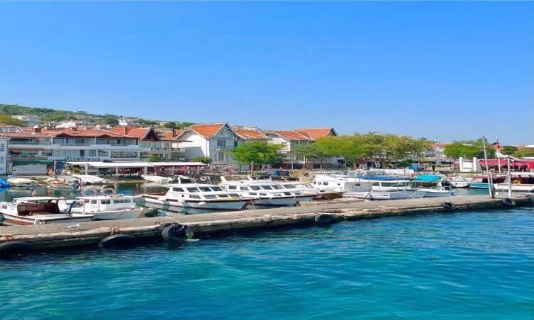 Daily Princes Island Boat Tour (Full Day)