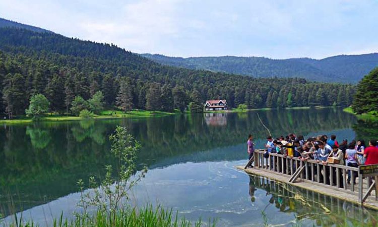 Sapanca Maşukiye Tour